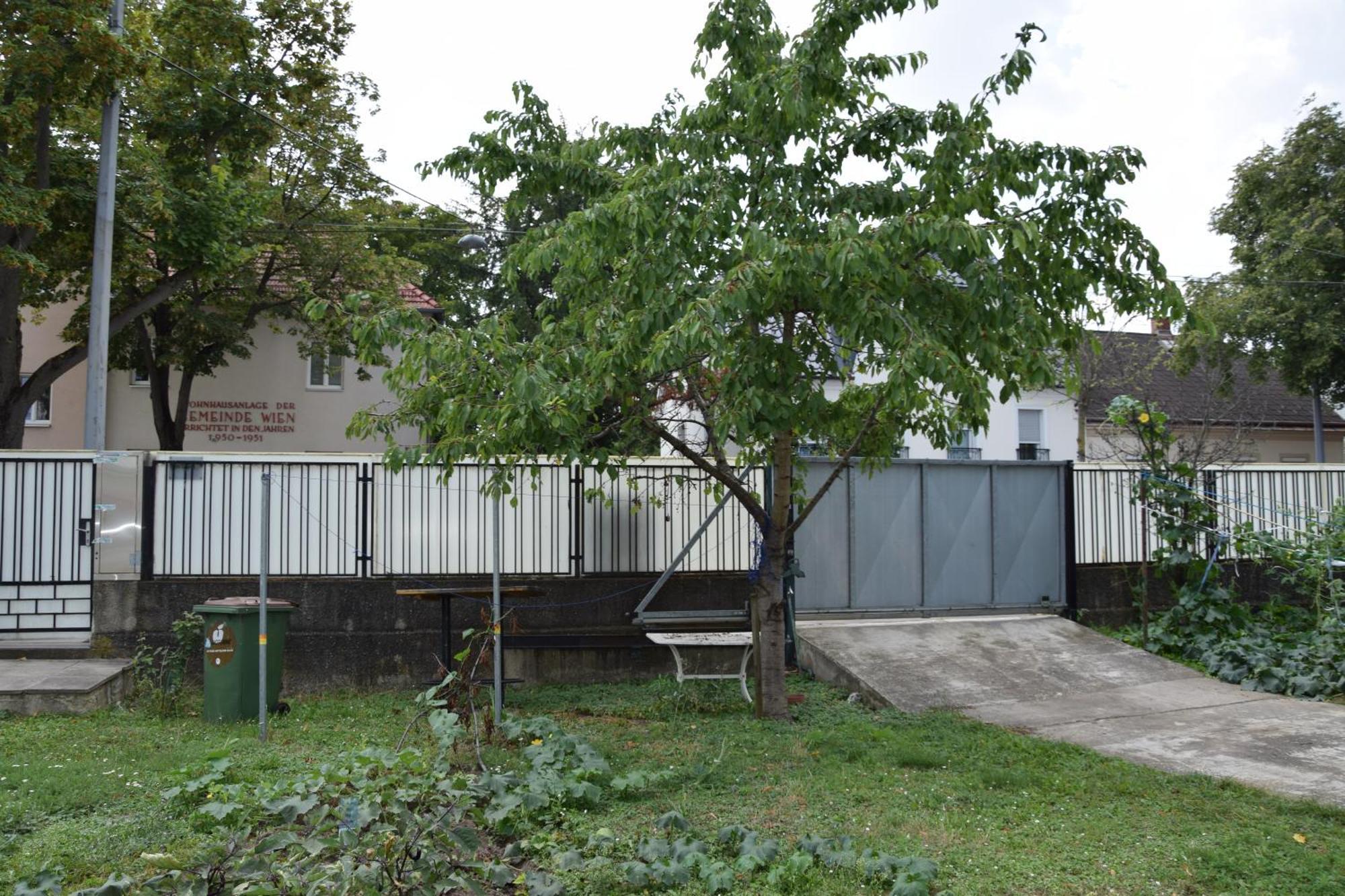 Central-vintage With Free Parking And 5min Walk To Metro Vienna